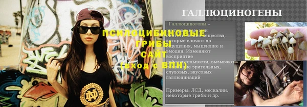 a pvp Абаза